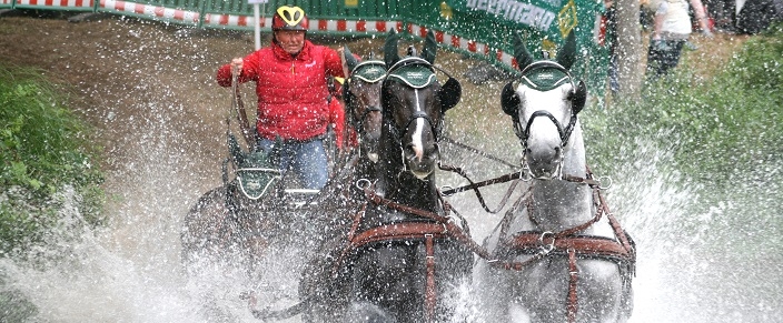 Eine Kutsche mit drei Pferden fährt durchs Wasser